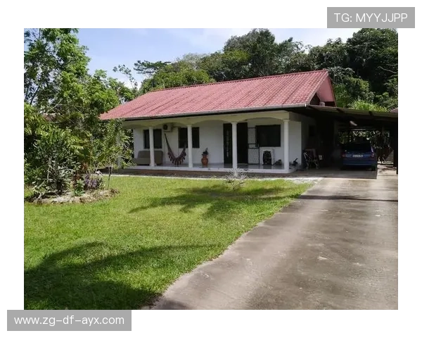 圭亚那足球青训营扩建迎来新阶段,圭亚那 足球